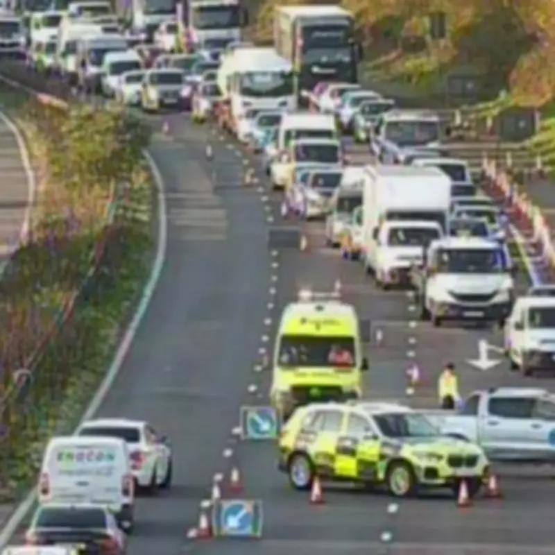 M23 Horror Crash: 23-Year-Old Woman Killed, Driver Arrested Near Gatwick