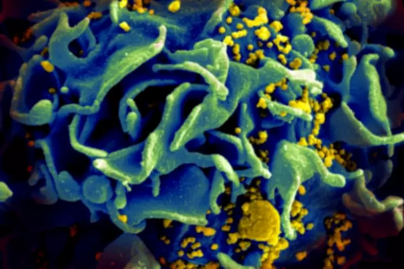 Man 'Cured' of HIV After Brother's Rare Genetic Mutation: 'Like Winning Lottery Twice'