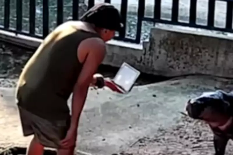 Man Fined £233 for Trespassing in Viral Pygmy Hippo Moo Deng's Enclosure