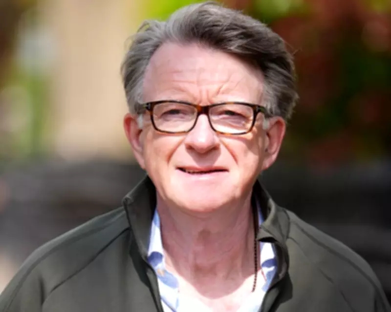 Mandelson's Lobbying Firm Global Counsel Owes HMRC Millions in Unpaid Tax