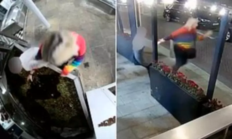 Marine Biologist's Lobster 'Rescue' from Restaurant Ends in Court Order