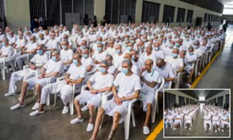 Mass Trial of 486 MS-13 Gang Members Begins in El Salvador Amid Bukele's Crackdown