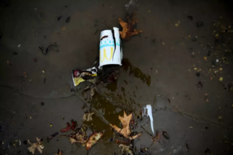 McDonald's Investigates Mystery of Sauce Bags Polluting Canadian Shoreline