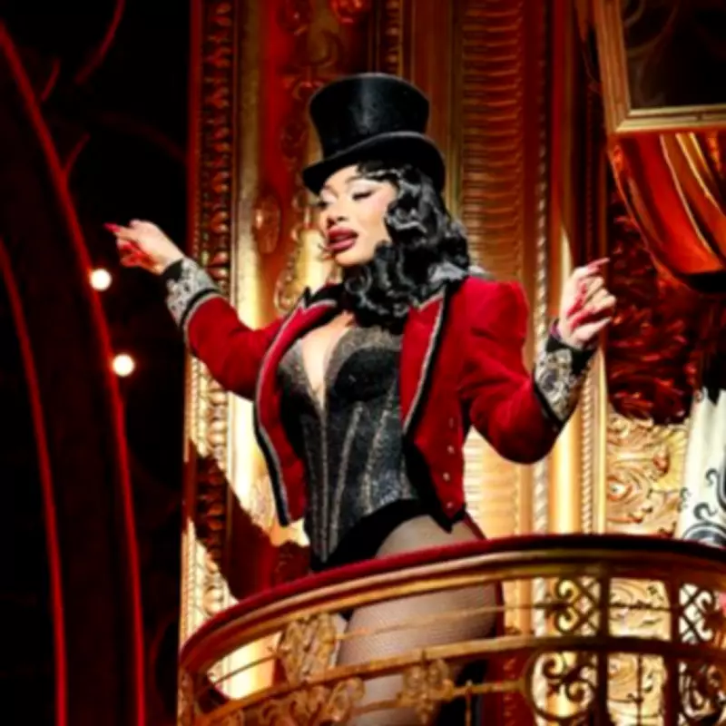 Megan Thee Stallion Hospitalised After Falling Ill During Broadway Performance