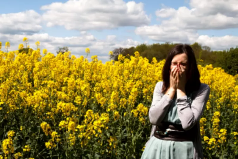 Met Office Issues Week-Long 'Red Alert' for Hay Fever Across UK