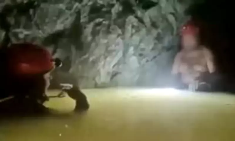 Mexican Miner Rescued After Two Weeks Trapped in Flooded Gold Mine
