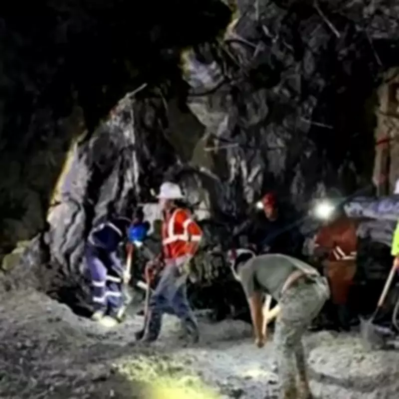 Mexican Miner Rescued Alive After 14 Days in Flooded Mine Collapse