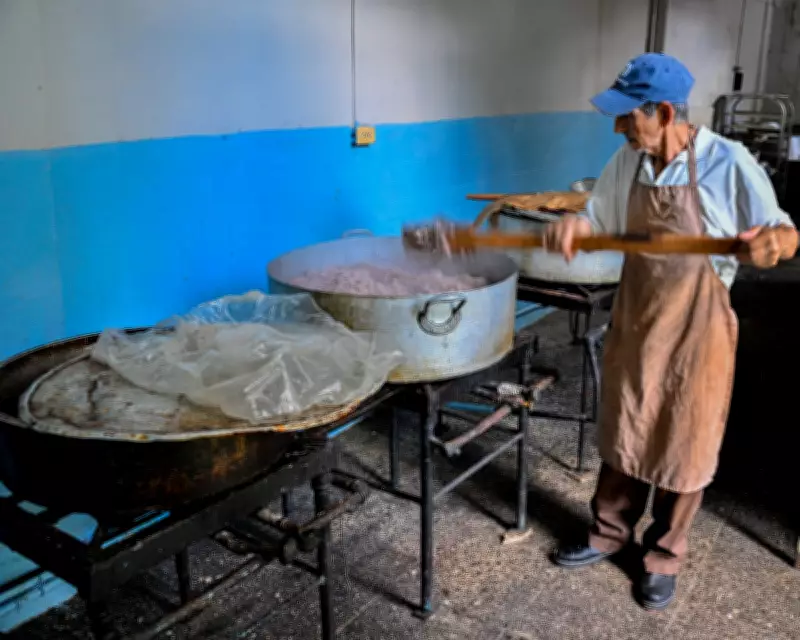 Mexico, Spain, and Brazil Urge Dialogue to Address Cuba's Humanitarian Crisis