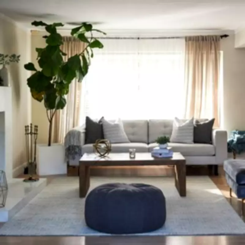Mirror Magic: One Simple Change to Instantly Brighten Dark Rooms