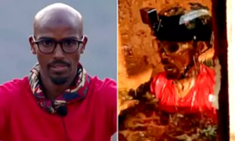 Mo Farah Screams in Termite Terror Trial as Ant and Dec Laugh