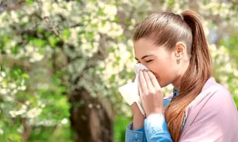 Morning Poll Reveals Hayfever Severity Has Intensified in Recent Years
