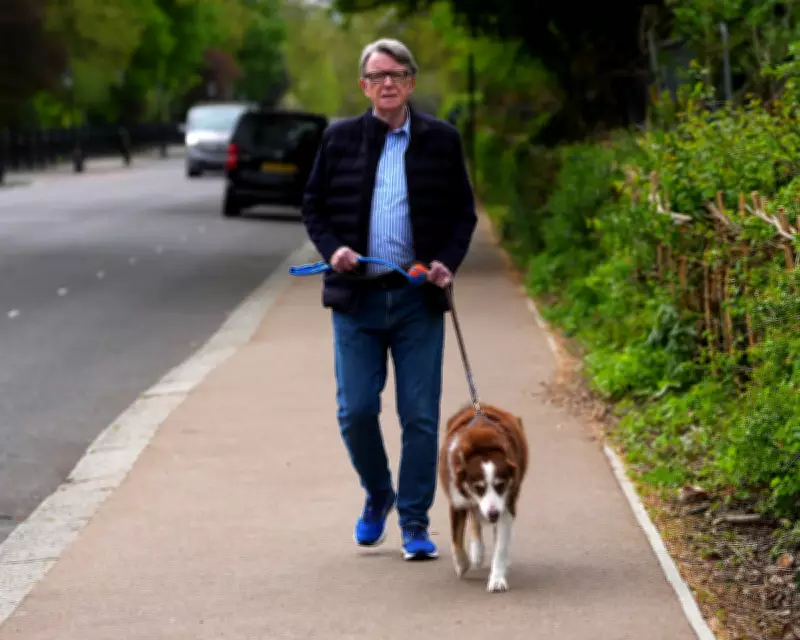 MPs Demand Full Disclosure of Mandelson's Vetting Files Amid Security Scandal
