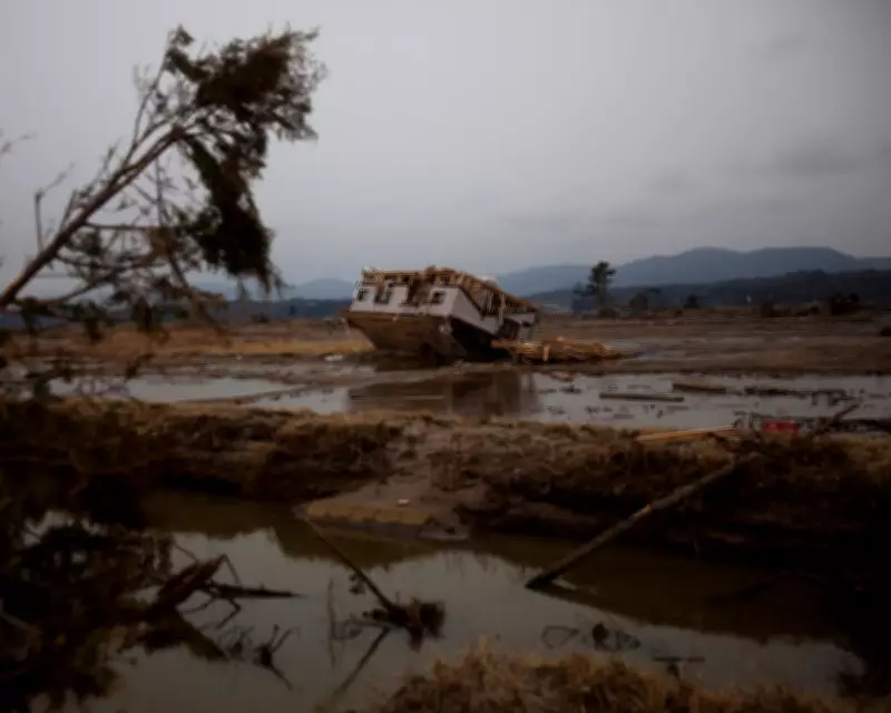 Mud-Rich Coastline Amplified 2011 Japan Tsunami's Destructive Force, Study Reveals