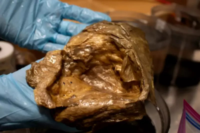 Mysterious 'Golden Orb' Found in Deep Ocean Finally Identified by NOAA Scientists