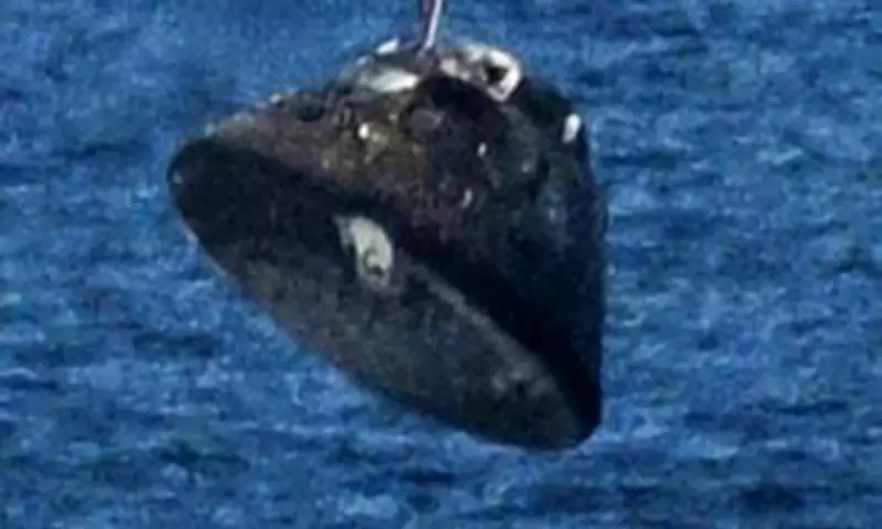 NASA Addresses Artemis II Heat Shield Concerns After Social Media Speculation