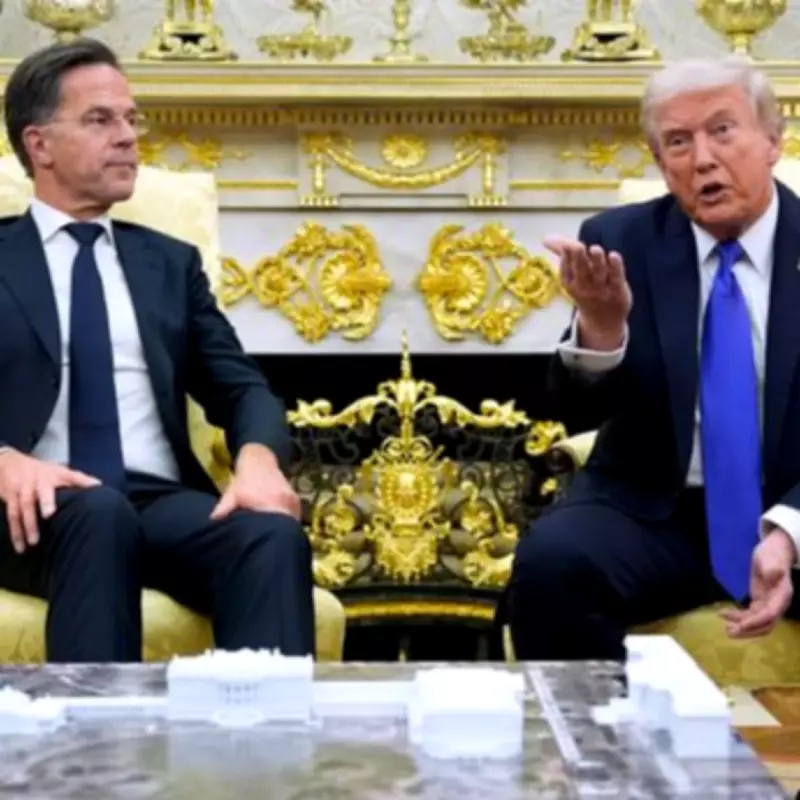 NATO Chief Rutte Explains Calling Trump 'Daddy' as a Language Mistake