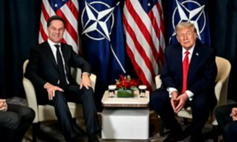 NATO Chief Rutte Flustered Over 'Daddy' Nickname for Trump After Tense White House Meeting