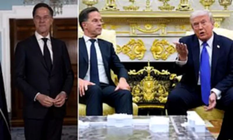NATO Chief Rutte Praises Trump's Iran Ceasefire Leadership Amid NATO Exit Threats
