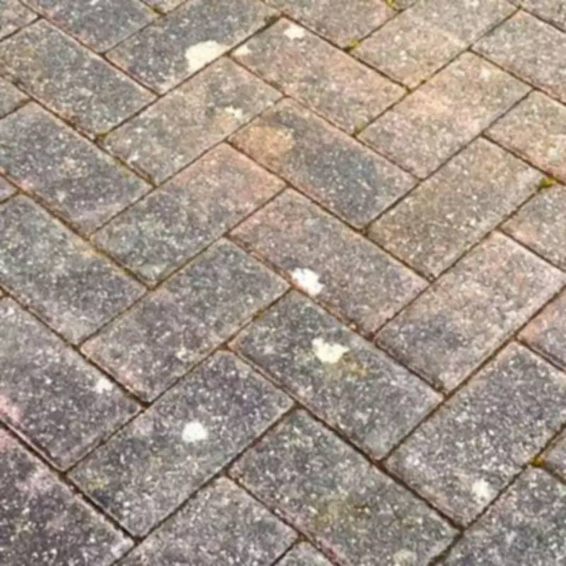Natural Paving Weed Removal Method Outperforms Vinegar and Salt