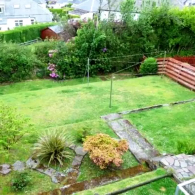 Neighbour's Tree Dispute Over Blocked Views at 'Forever Home' Settled