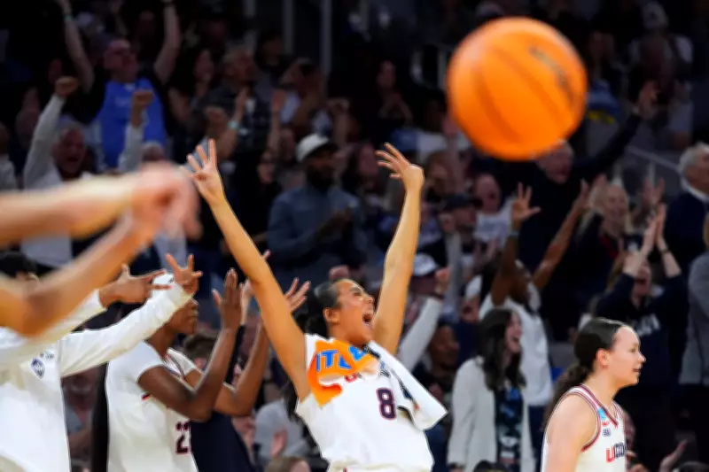 New England Furniture Store Offers $50 Million Refund if UConn Teams Reach Finals