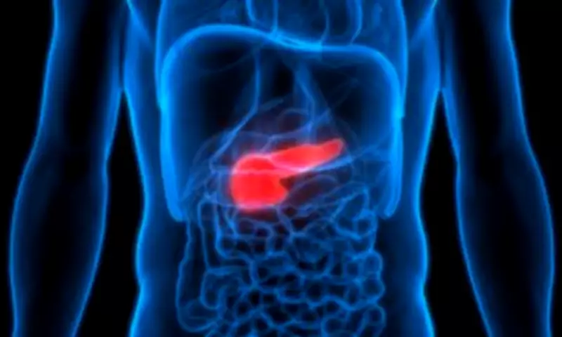New Pancreatic Cancer Drug Elraglusib Doubles Survival Rates in Clinical Trial
