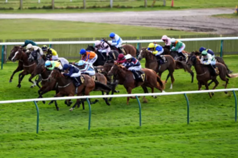 Newmarket Guineas Festival Tips: Five Best Bets for Friday's Racing