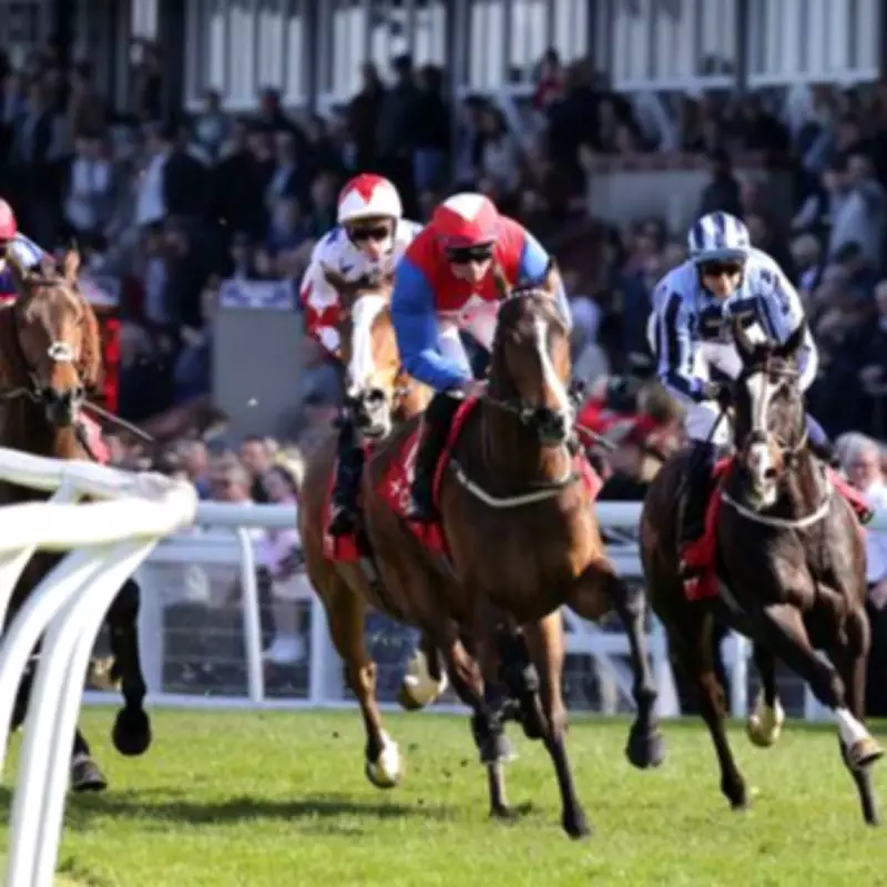 Newsboy's Horse Racing Tips: The Gay Blade and Rosenpur Lead Wednesday Selections