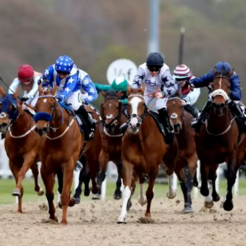 Newsboy's ITV4 Racing Tips: The Lost King Napped for Newcastle Glory