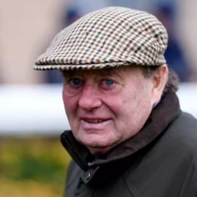 Newsboy's Tuesday Racing Tips: Dyno Dave Nap at Exeter, Gesayed NB at Southwell