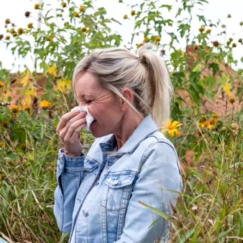 NHS GP Reveals Unusual Hay Fever Remedies Including Vaseline Barrier Trick