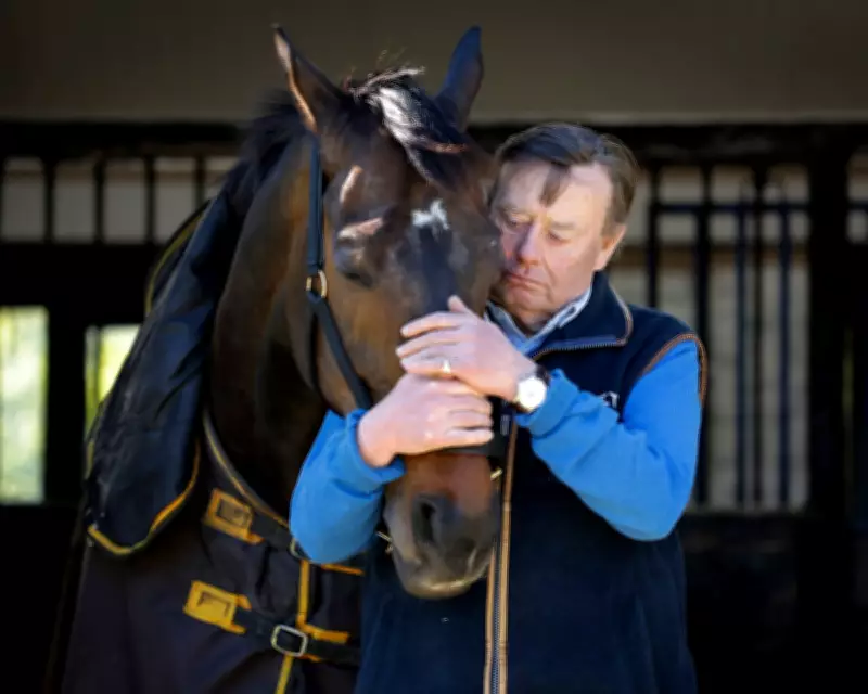 Nicky Henderson on Constitution Hill's Remarkable Career Pivot