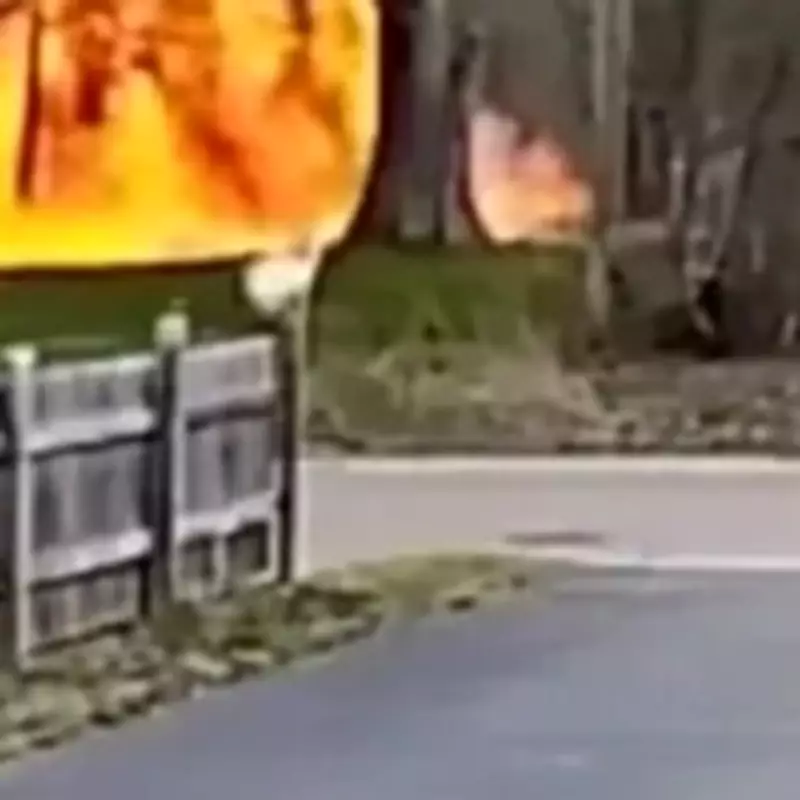 North Dakota State Legislator Liz Conmy Dies in Plane Crash