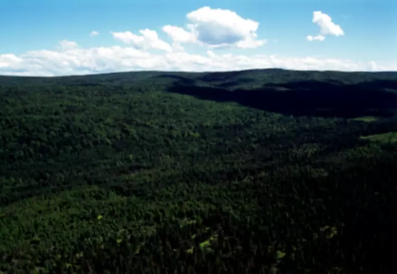 Nova Scotia Woods Ban Ruled Unconstitutional: Judge Sides with Hiker