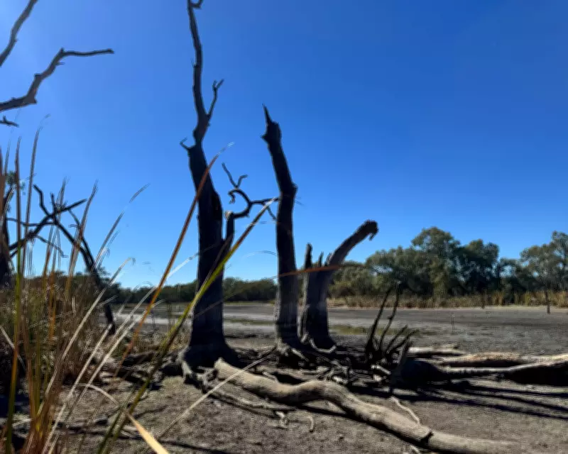 NSW Water Agency Criticised for Halting Flows, Causing Wildlife Catastrophe