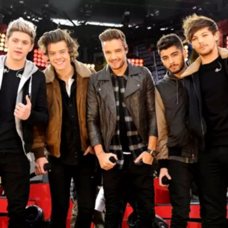 One Direction Netflix Documentary Axed After Zayn Malik Allegedly Punches Louis Tomlinson