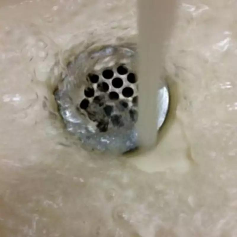 Only One £1.99 Drain Unblocker Worked in Bathroom Sink Test