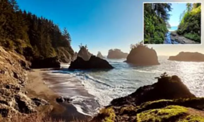 Oregon's Secret Beach Crowned Top US Digital Detox Destination