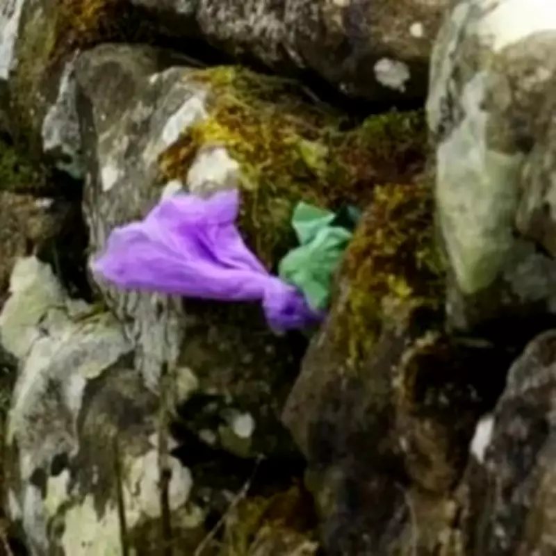 Outrage as Dog Owners Stuff Poo Bags into Historic Hadrian's Wall