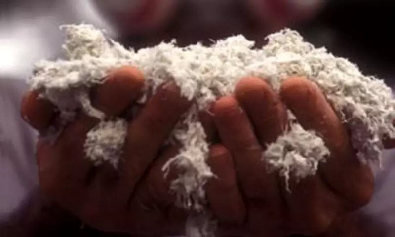 Over 30 children's toys recalled in UK over asbestos contamination