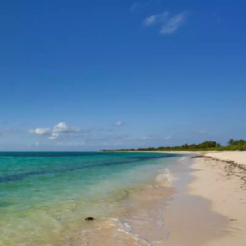 Paradise Beach Voted 'Best of the Best' But Visitors Warned About Bugs