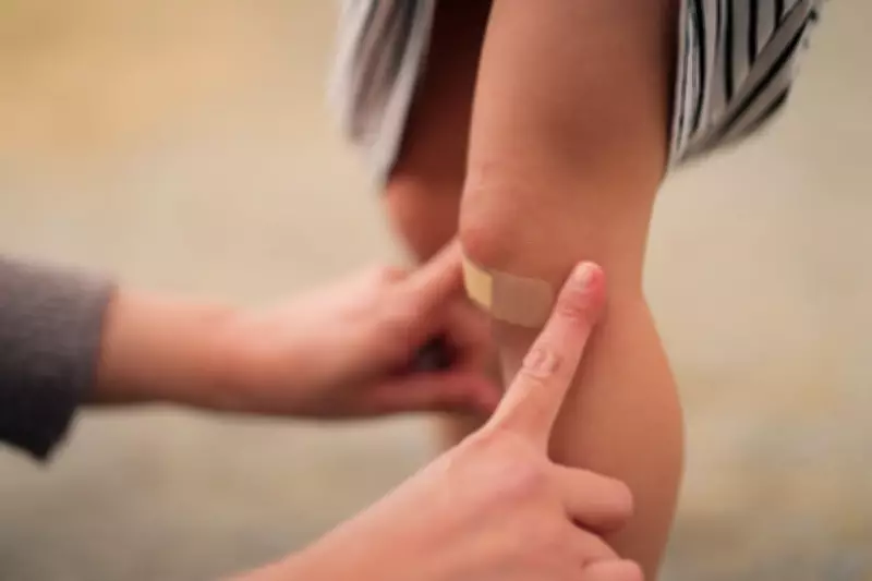 Parasitic Screwworm Flies Near US Border Pose Imminent Threat to Texas