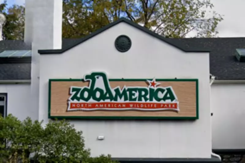 Parents Charged After Toddler Injured by Wolf at ZooAmerica Enclosure