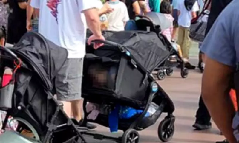 Parents Smuggle Older Child in Pram to Dodge Disneyland's Sky-High Entry Fees