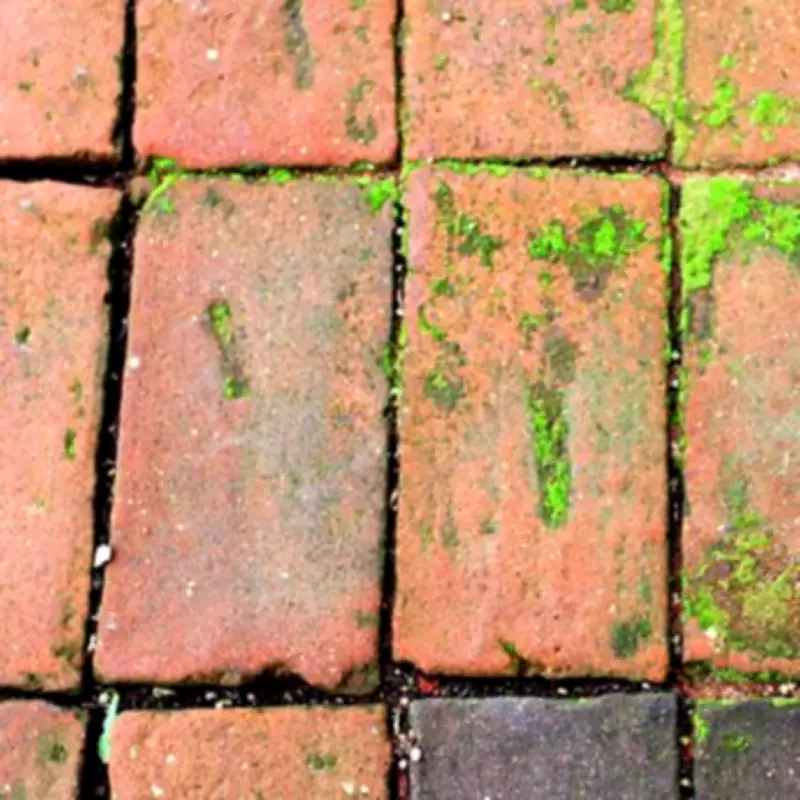 Patio Algae Stains Vanish in 5 Minutes with Natural Citrus Vinegar Solution