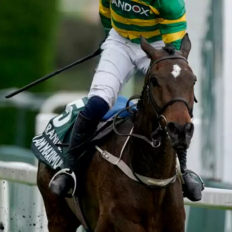 Paul Townend Sticks with Former Grand National Winner I Am Maximus for Saturday's Race