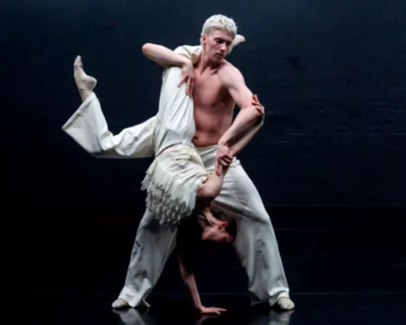 PCK Dance's Into the Light Review: A Choreographic Double Bill with Fluent Steps but Muddled Humanity