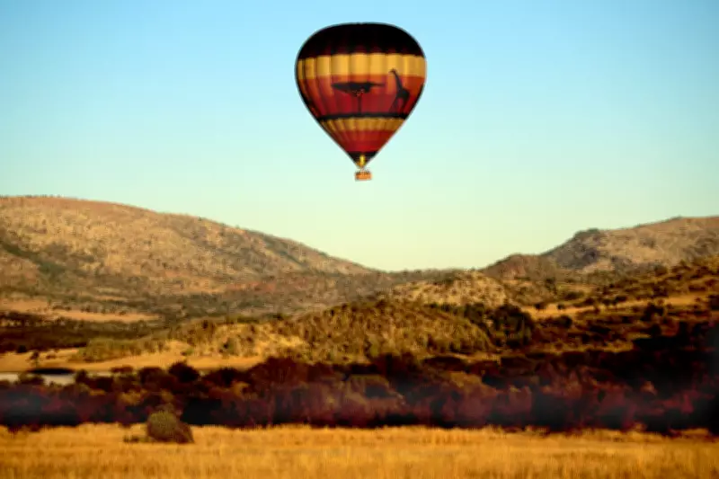Pilot's 'Masterful' Skill Averts Disaster as Hot Air Balloon Lands in Backyard