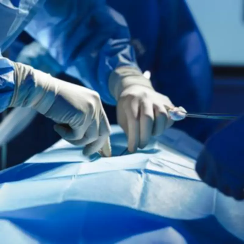 Plastic Surgeon Warns Against Extreme Cosmetic Procedures Like Fantasy Noses