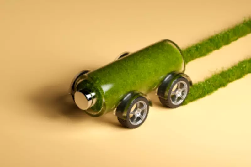 Plug-In Solar Panels and Smart Batteries: How UK Households Can Cut Energy Bills